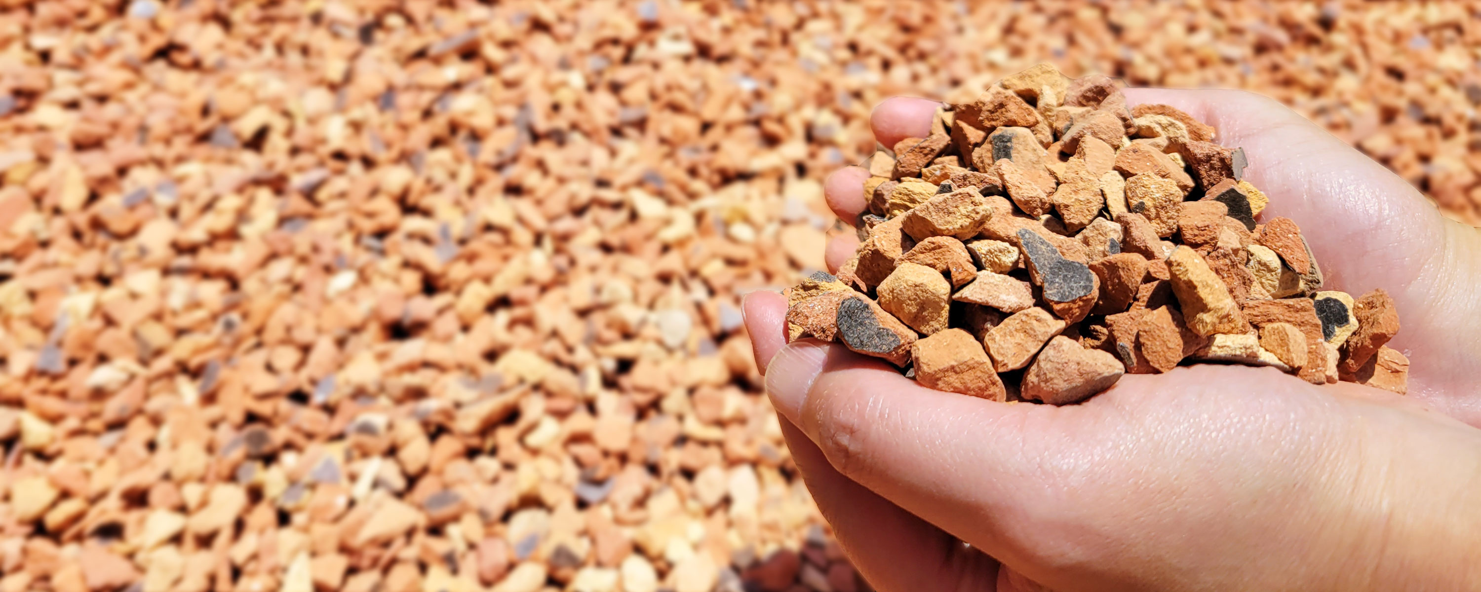 スライドショーイメージ